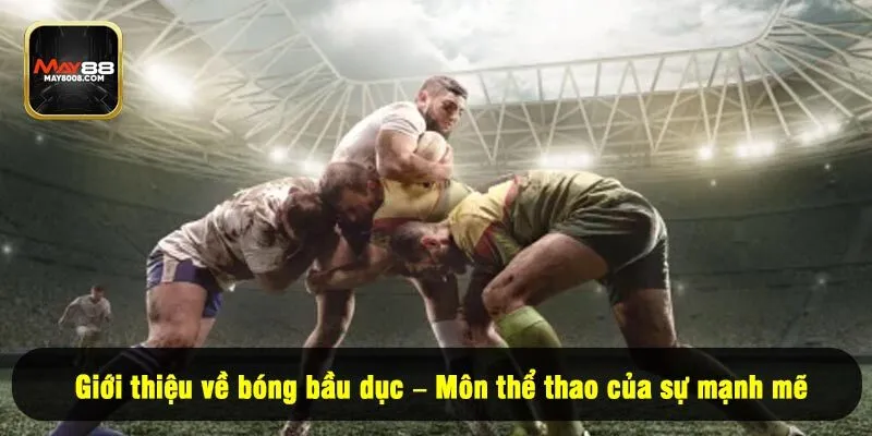 Giới thiệu về bóng bầu dục – Môn thể thao của sự mạnh mẽ 