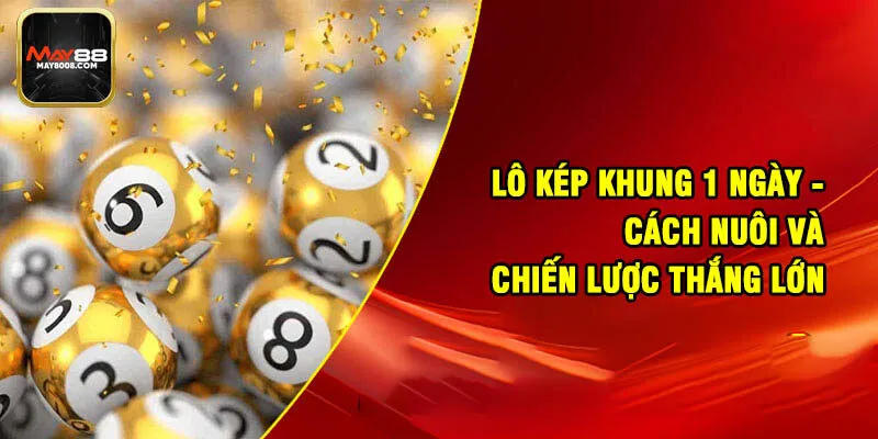 Lô Kép Khung 1 Ngày - Cách Nuôi Và Chiến Lược Thắng Lớn