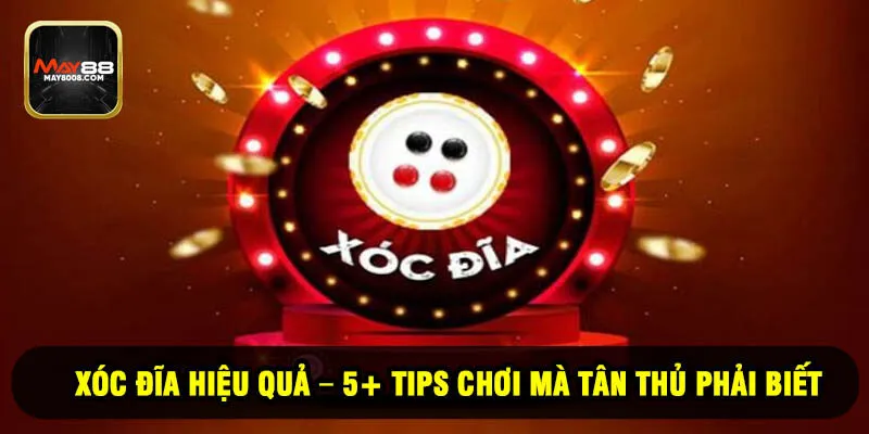 Xóc Đĩa Hiệu Quả – 5+ Tips Chơi Mà Tân Thủ Phải Biết
