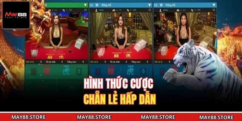 Hình thức cược chẵn lẻ hấp dẫn